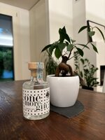 ginetto-one-more-gin-20cl