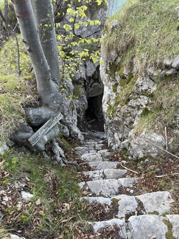 cff356c5-e207-4a70-aef7-f970eecb9201 cff356c5-e207-4a70-aef7-f970eecb9201