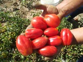 bb4293ab-5ed3-4e3d-954a-039b23b605bb