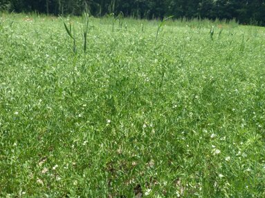 8b0a9fb6-7480-487a-88ac-484fa52e94e9