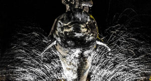 castello%2004.jpeg castello%2004.jpeg