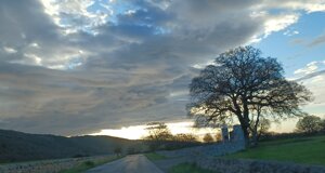 mare%201.jpeg mare%201.jpeg