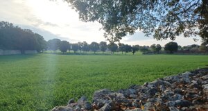 parco5.jpeg parco5.jpeg