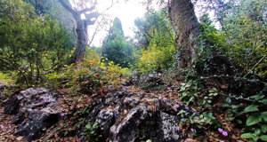 parco3.jpeg parco3.jpeg