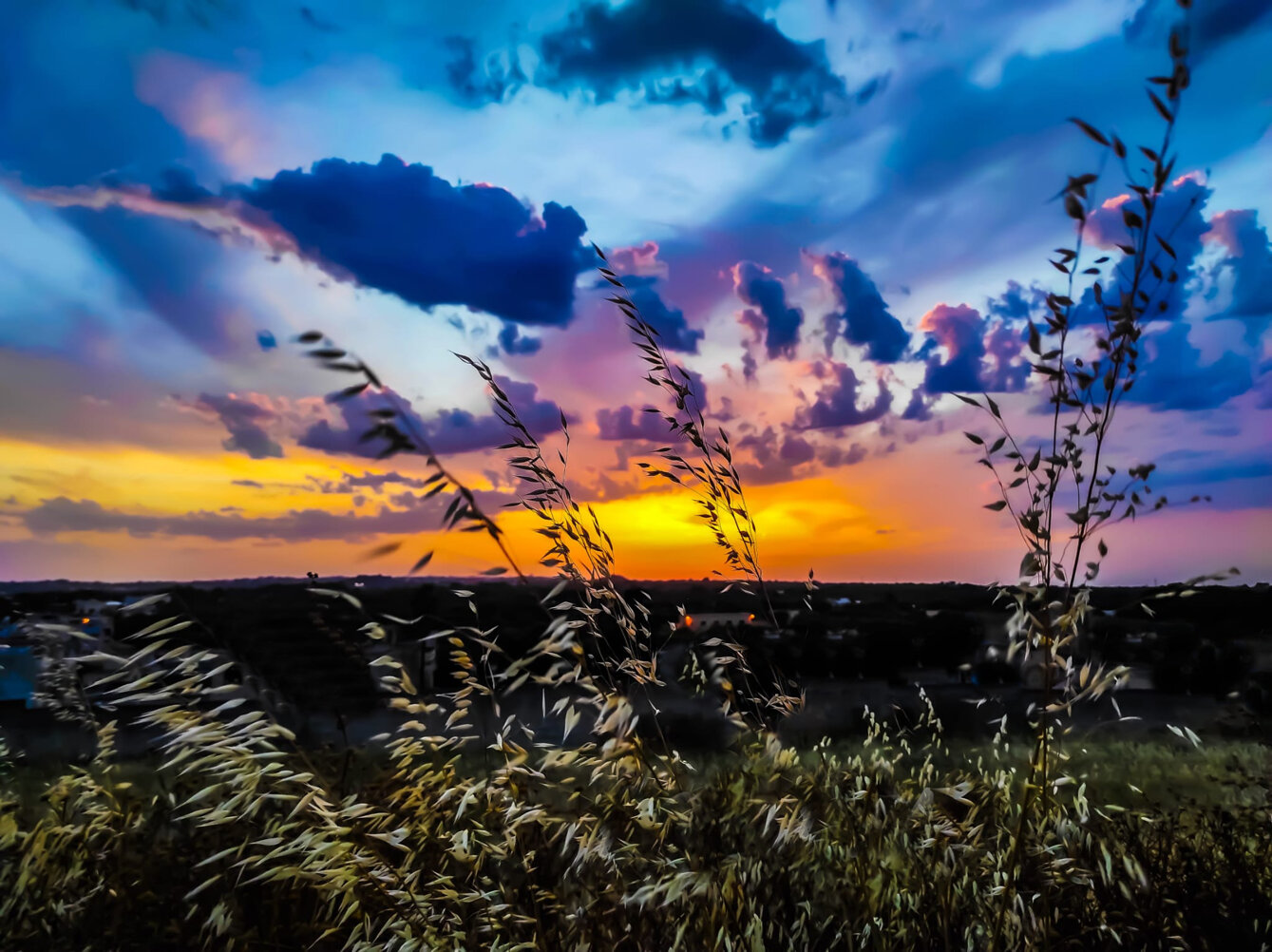 cielo 02.jpeg cielo 02.jpeg