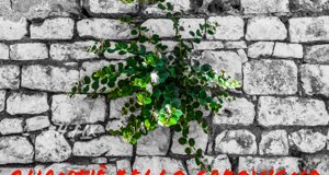 castello%2003.jpeg castello%2003.jpeg