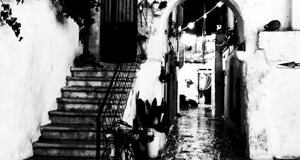 scorci%2011.jpeg scorci%2011.jpeg