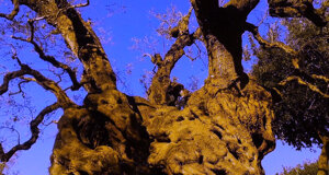 centro%2003.jpeg centro%2003.jpeg