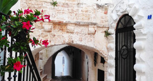 scorci%2003.jpeg scorci%2003.jpeg