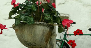 castello%2001.jpeg castello%2001.jpeg