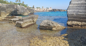 castello3.jpeg castello3.jpeg