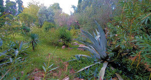 parco2.jpeg parco2.jpeg