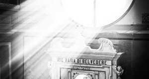 mare%2006.jpeg mare%2006.jpeg