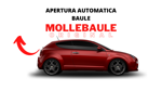 alfa-mito
