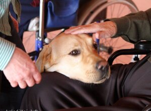 casa%20riposo.jpeg casa%20riposo.jpeg