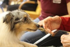 475494206_9364592963658650_3022722240292937910_n.jpeg 475494206_9364592963658650_3022722240292937910_n.jpeg