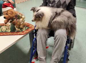 muso%20vienna.jpeg muso%20vienna.jpeg