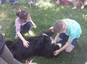 bignè%20carrozzina.jpeg bignè%20carrozzina.jpeg