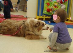 dallas nido.jpeg dallas nido.jpeg