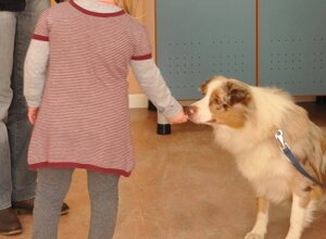 bambini.jpeg bambini.jpeg