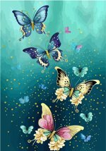 d5-pocket-cover-creativa-n-150-copie-immagini-assortite