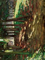 d6-pocket-cover-dautore-n-250-copie-immagini-assortite