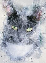 d5-pocket-cover-creativa-n-150-copie-immagini-assortite