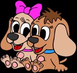 d7-pocket-cover-carton-n-500-copie-immagini-assortite