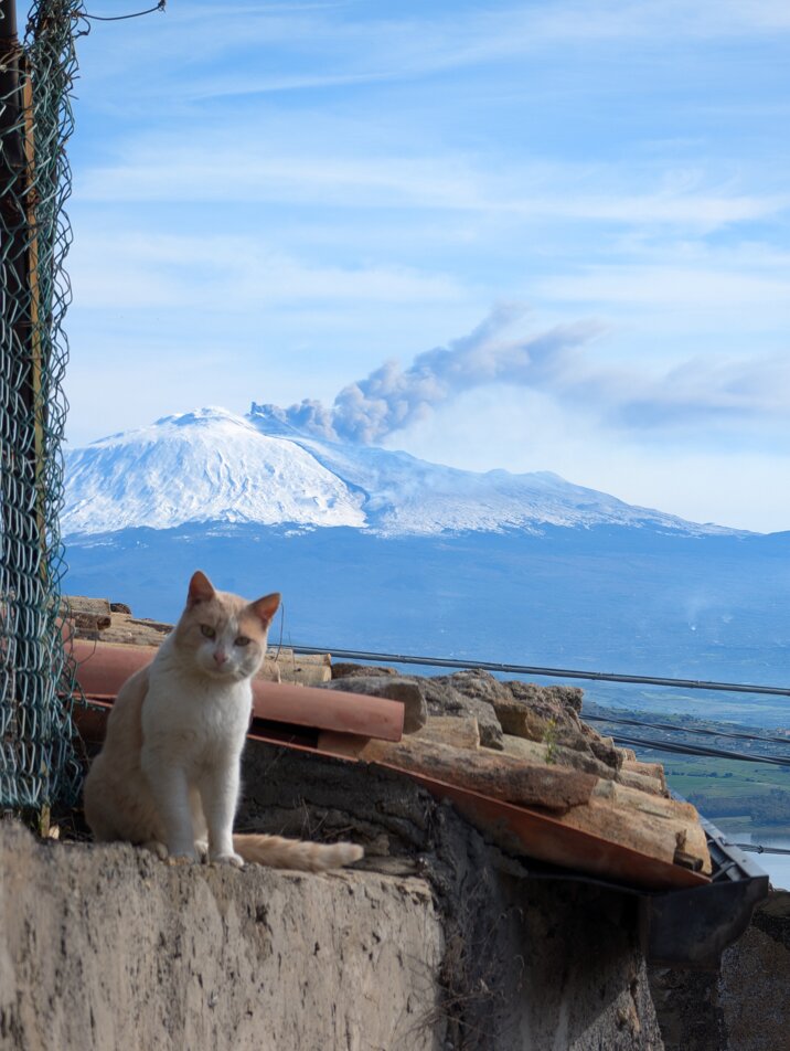 pxl_20250217_084931089.raw-01.cover.jpeg pxl_20250217_084931089.raw-01.cover.jpeg