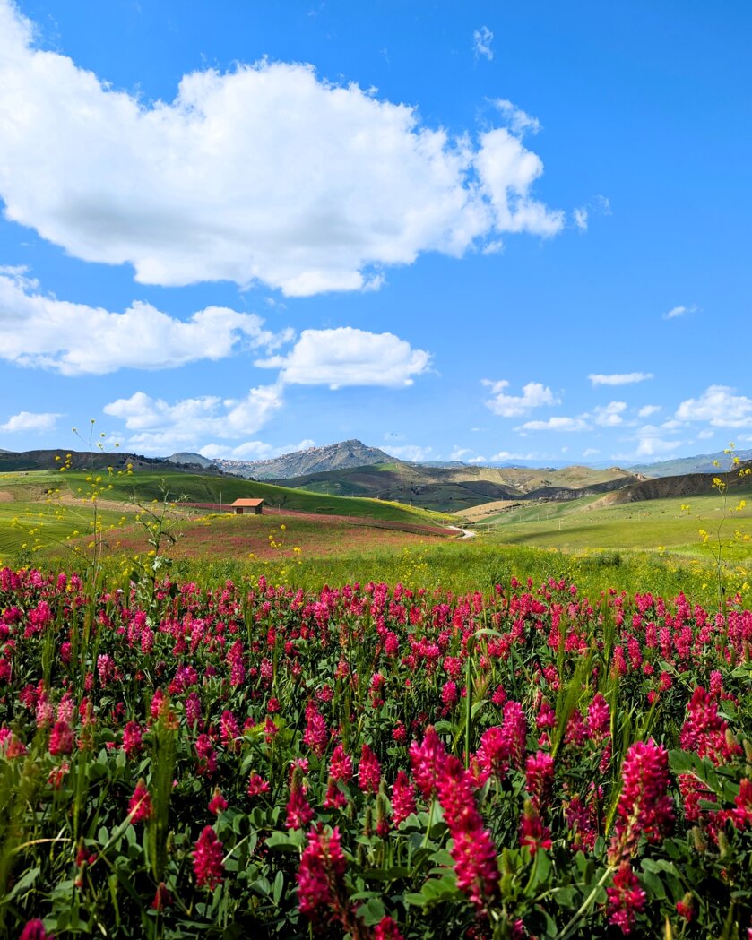 albergo-diffuso-agira-vista-etna-panorama-sulla.jpeg albergo-diffuso-agira-vista-etna-panorama-sulla.jpeg