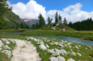 36487_e8c301326ae8671c77eb095cf4e5a1c8b93daea0.jpeg 36487_e8c301326ae8671c77eb095cf4e5a1c8b93daea0.jpeg