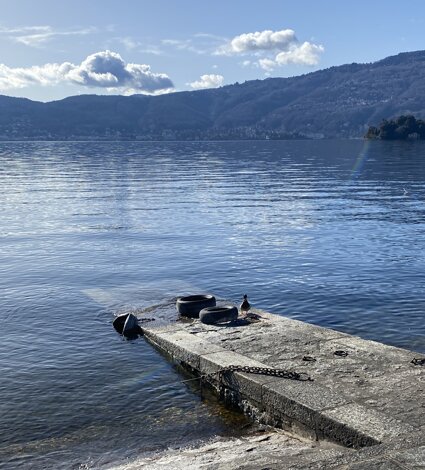 36487_758e6a83c873b696361764ba0b04ca16b33809f3.jpeg 36487_758e6a83c873b696361764ba0b04ca16b33809f3.jpeg