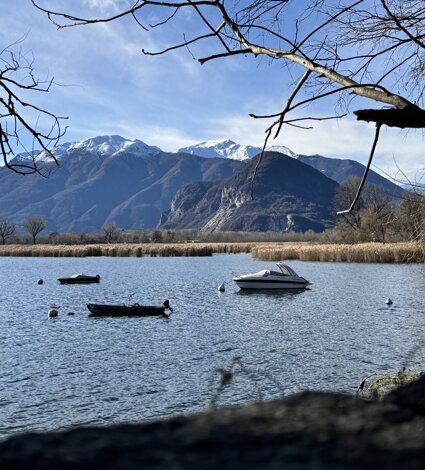 img_9113.jpeg img_9113.jpeg