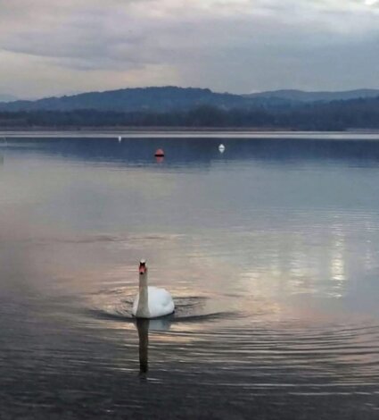 36487_6d1586bceae19c3f7d7b7dda1e6c8a9c9e0ae7c6.jpeg 36487_6d1586bceae19c3f7d7b7dda1e6c8a9c9e0ae7c6.jpeg