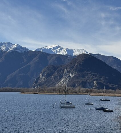 36487_e6cc0f71b1af2b03e39fb61326fd4592ea229ec0.jpeg 36487_e6cc0f71b1af2b03e39fb61326fd4592ea229ec0.jpeg