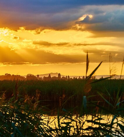 36487_dc2d16cd49594e8cfa4b1eff444ca5bb7c224feb.jpeg 36487_dc2d16cd49594e8cfa4b1eff444ca5bb7c224feb.jpeg