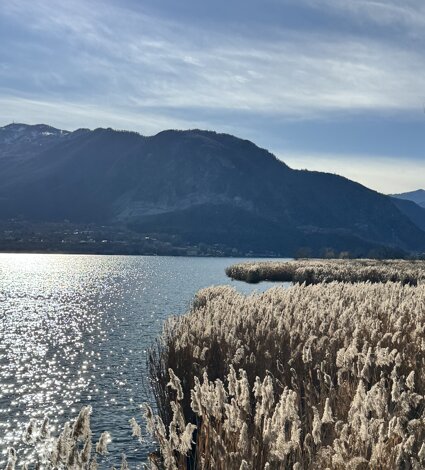 img_9110.jpeg img_9110.jpeg