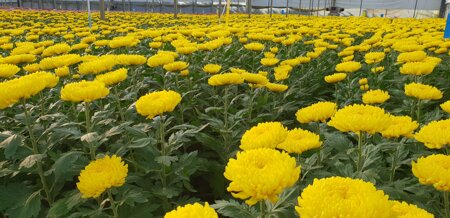 whatsapp image 2026-02-17 at 12.22.22 (7).jpeg