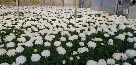 whatsapp image 2026-02-17 at 12.22.22 (5).jpeg