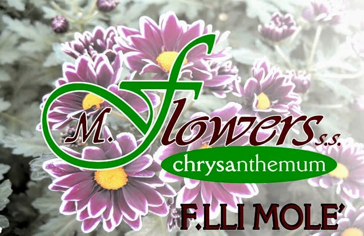 mflowers logo.jpeg