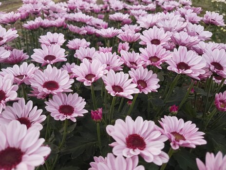 whatsapp image 2026-02-19 at 11.22.49.jpeg