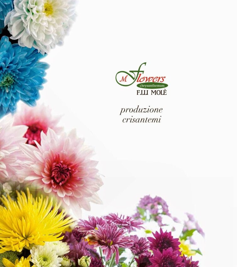 whatsapp image 2026-02-19 at 09.28.05.jpeg