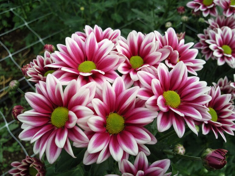 whatsapp image 2026-02-19 at 09.28.47.jpeg