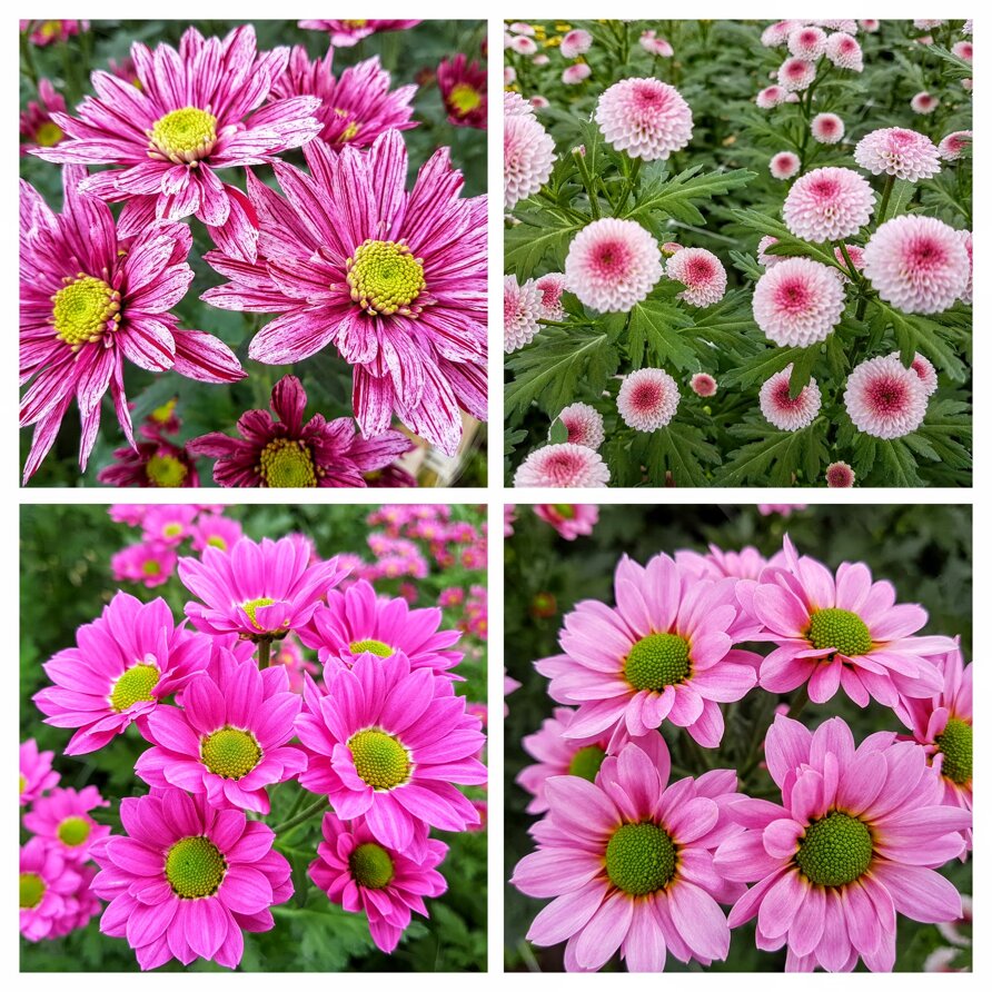 whatsapp image 2026-02-19 at 11.22.21.jpeg