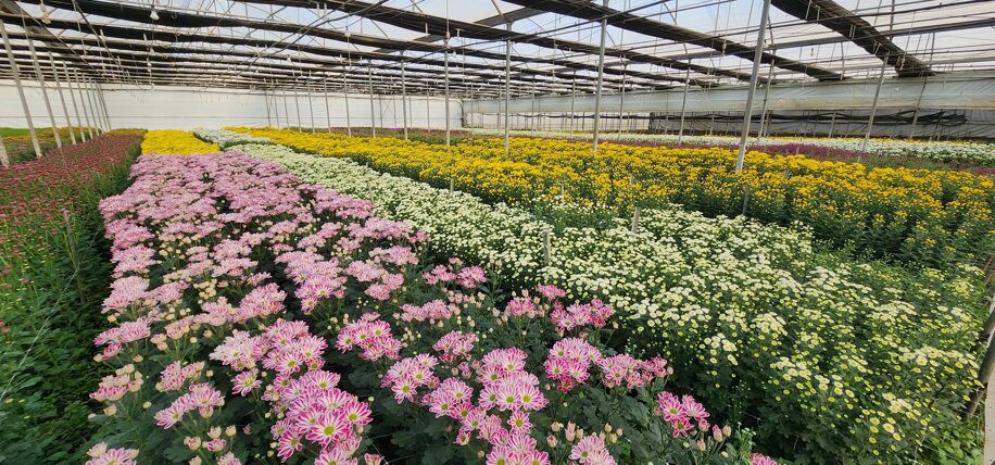 whatsapp image 2026-02-14 at 11.37.55 (9).jpeg