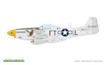 p51d-mustang