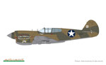 p40e-warhawk