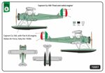caproni-ca100-float-and-radial-engine