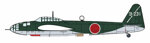 kugisho-p1y1-ginga-frances-type-11-yokosuka-flying-group-with-torpedo