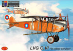 lvg-cvi-in-other-service
